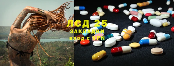 PSILOCYBIN Зеленодольск
