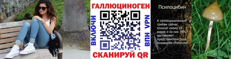 kraken как войти  Кстово  Псилоцибиновые грибы GOLDEN TEACHER 