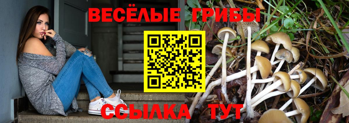 Галлюциногенные грибы ЛСД  Вход с VPN  Кстово 